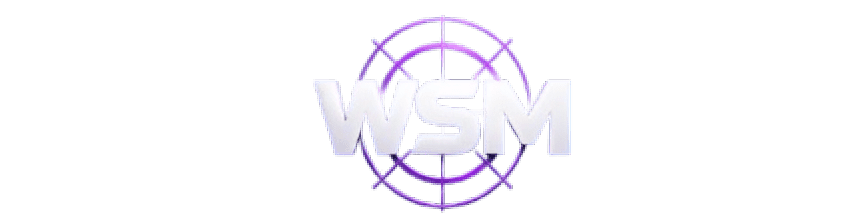 World SEO Marketing logo - Best SEO company Noida